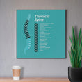 Load image into Gallery viewer, Chiropractic Poster: The Thoracic Spine Patient Education Canvas Wrap