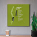 Load image into Gallery viewer, Chiropractic Poster: The Lumbar Spine Patient Education Canvas Wrap