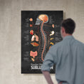 Load image into Gallery viewer, Chiropractic "Subluxation" Spine, Organ, Nerve Canvas Wrap