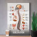 Load image into Gallery viewer, Chiropractic "Subluxation" Spine, Organ, Nerve Canvas Wrap