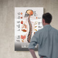 Load image into Gallery viewer, Chiropractic "Subluxation" Spine, Organ, Nerve Canvas Wrap
