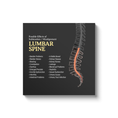 Load image into Gallery viewer, Chiropractic Poster: Lumbar Spine Symptoms Canvas Wrap