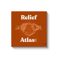 Load image into Gallery viewer, Chiropractic Poster: Relief Atlast Canvas Wrap