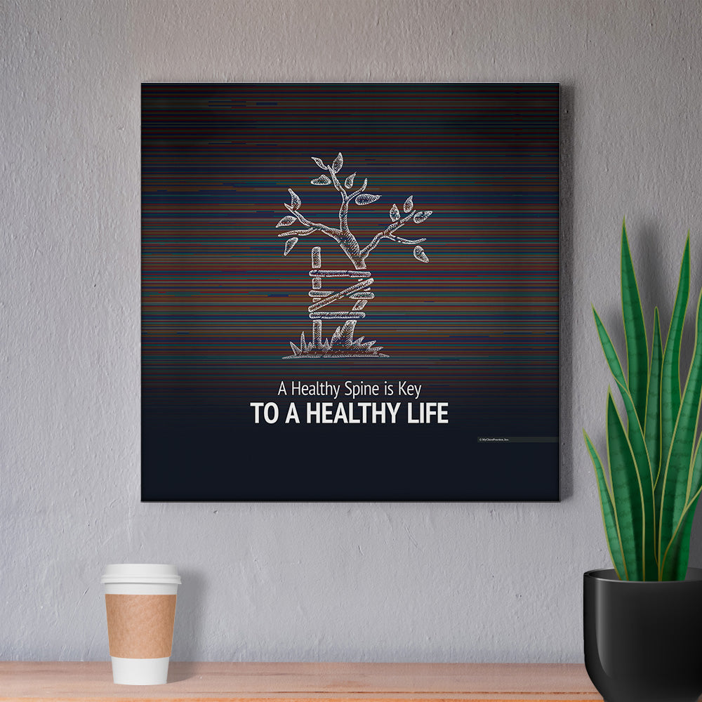 Healthy Spine Can Lead to a Healthy Life