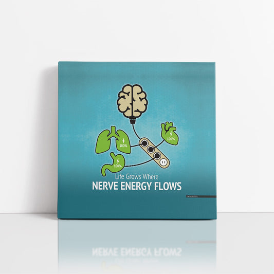 Nerve Energy and Organ Health