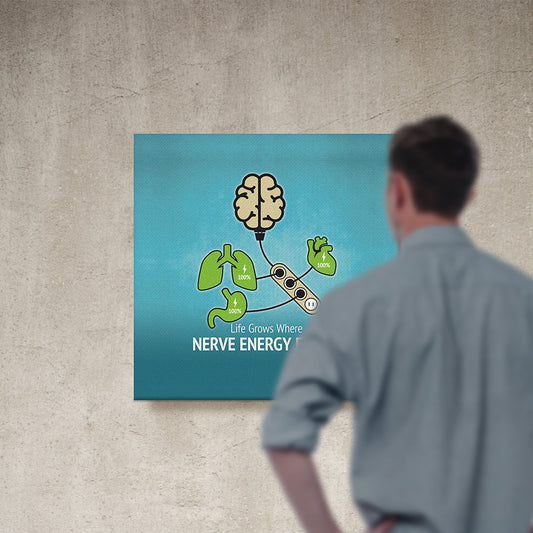 Nerve Energy and Organ Health