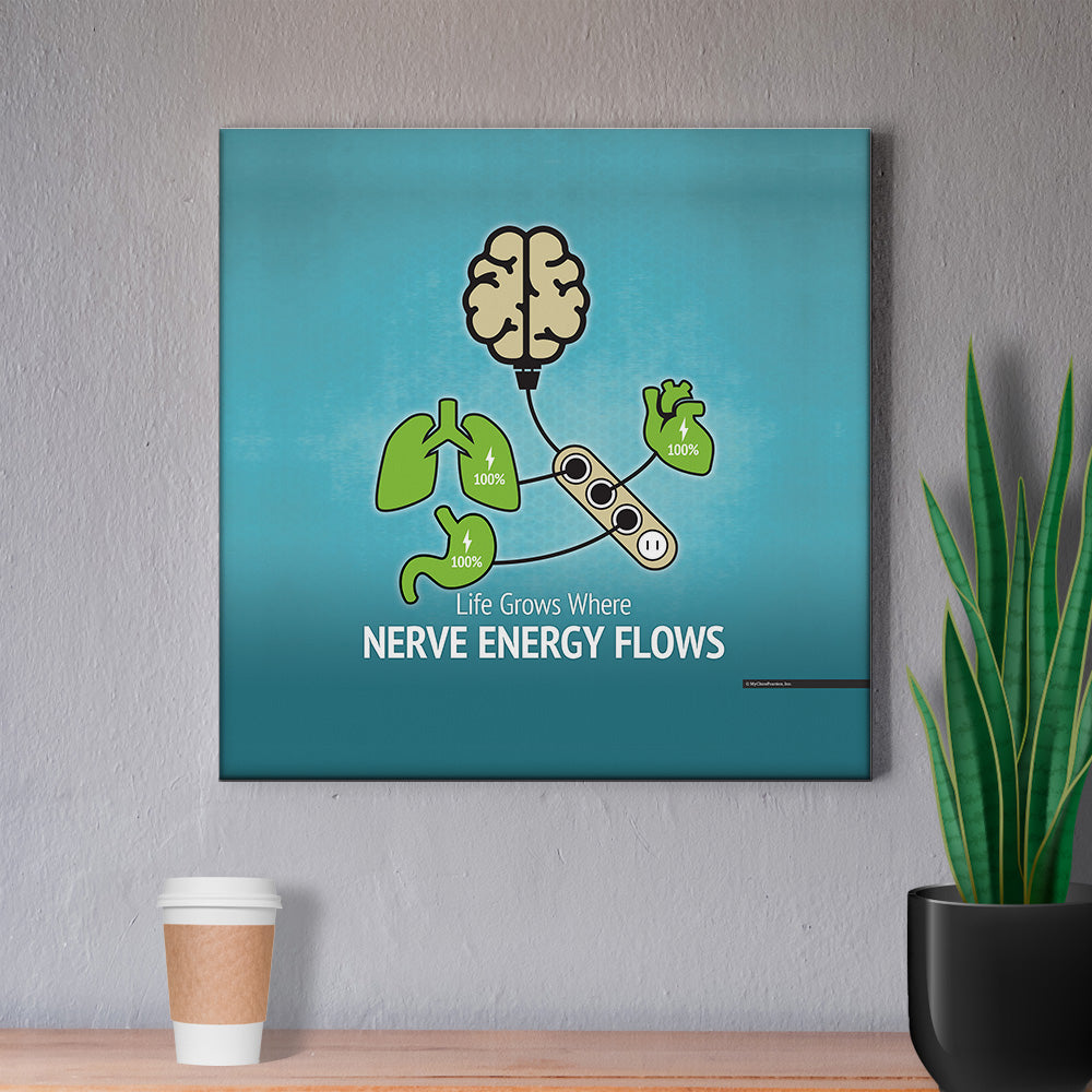 Nerve Energy and Organ Health
