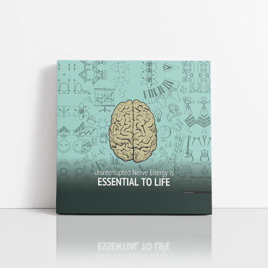 Nerve Energy is Essential to Life