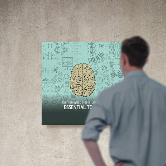 Nerve Energy is Essential to Life