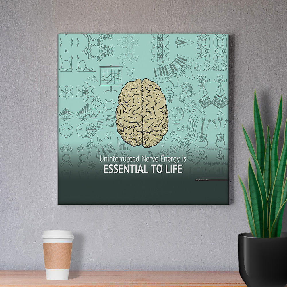 Nerve Energy is Essential to Life
