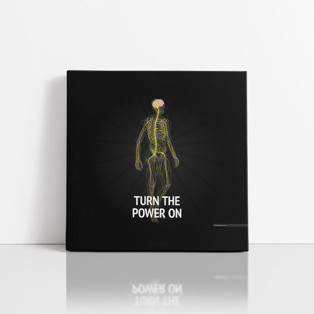 Turn the Power of Chiropractic ON