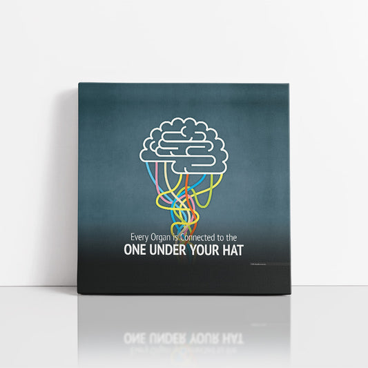 Every Organ is Connected to The Brain