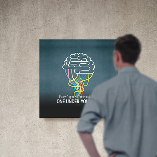 Every Organ is Connected to The Brain