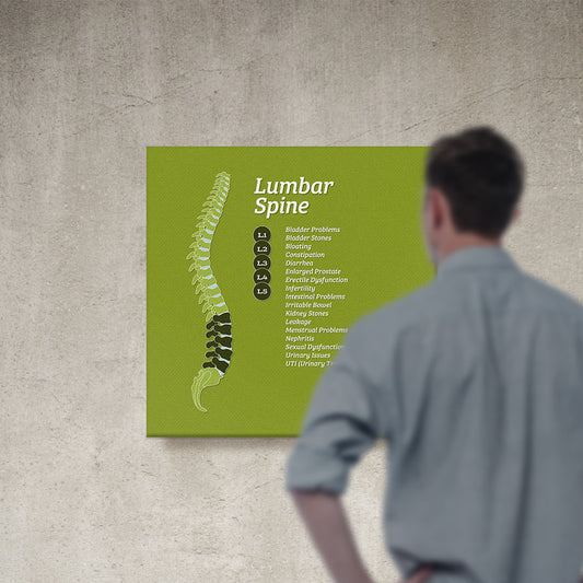 Chiropractic Poster: The Lumbar Spine Patient Education Canvas Wrap