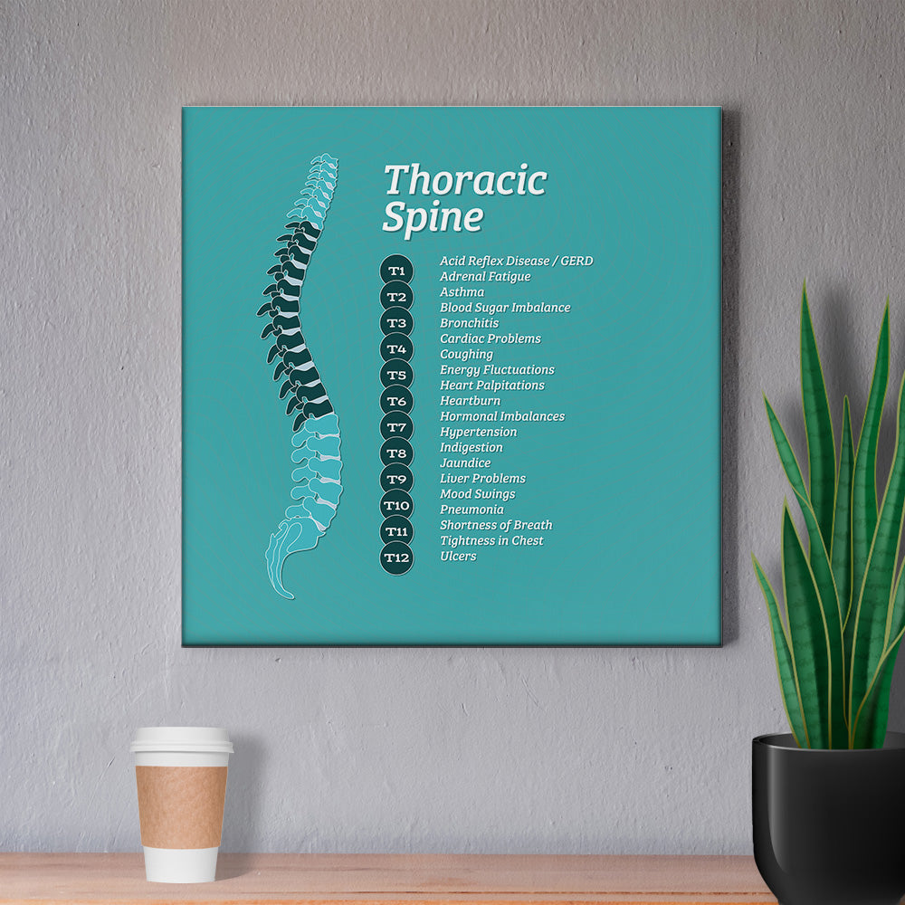 Chiropractic Poster: The Thoracic Spine Patient Education Canvas Wrap