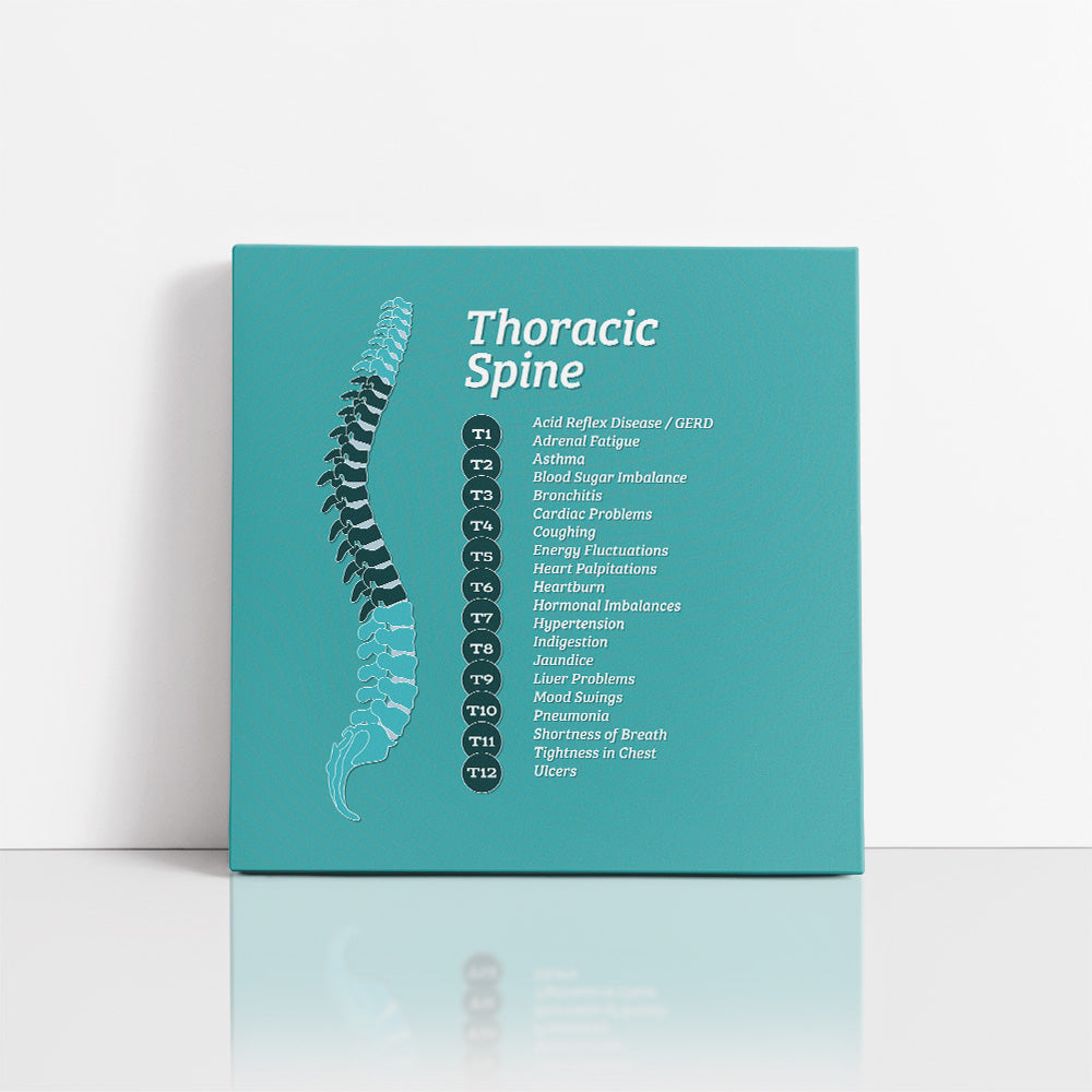 Chiropractic Poster: The Thoracic Spine Patient Education Canvas Wrap