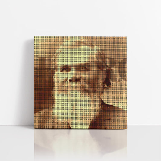 Chiropractic Poster: DD Palmer Canvas Wrap