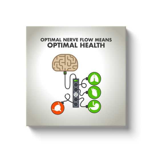 Chiropractic Poster: Optimal Nerve Flow Means Optimal Health Canvas Wrap