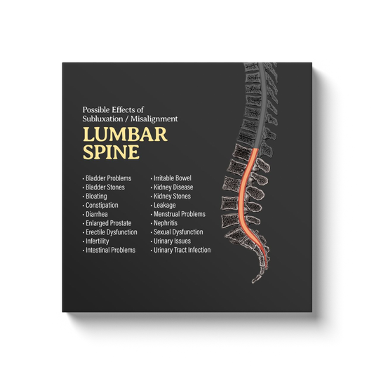 Chiropractic Poster: Lumbar Spine Symptoms Canvas Wrap