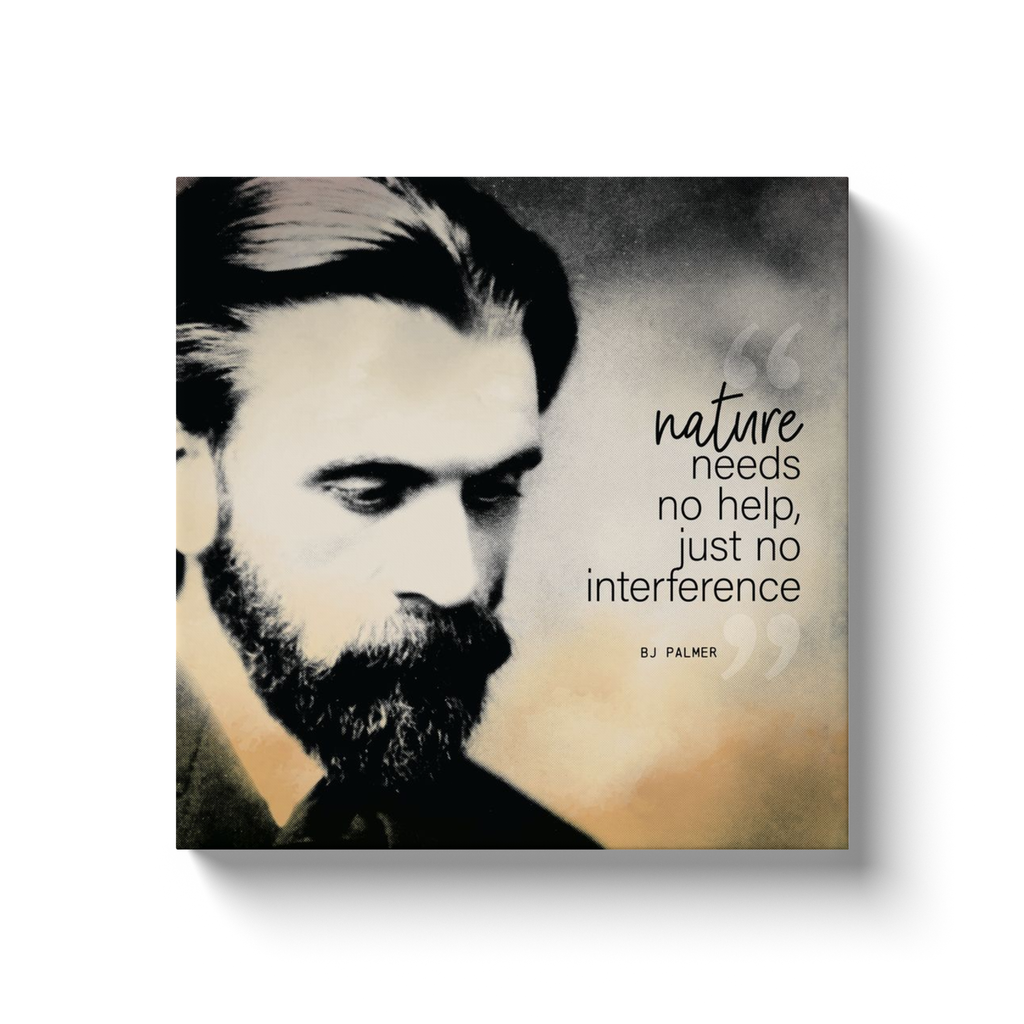 Chiropractic Poster: BJ Palmer Quote Canvas Wrap