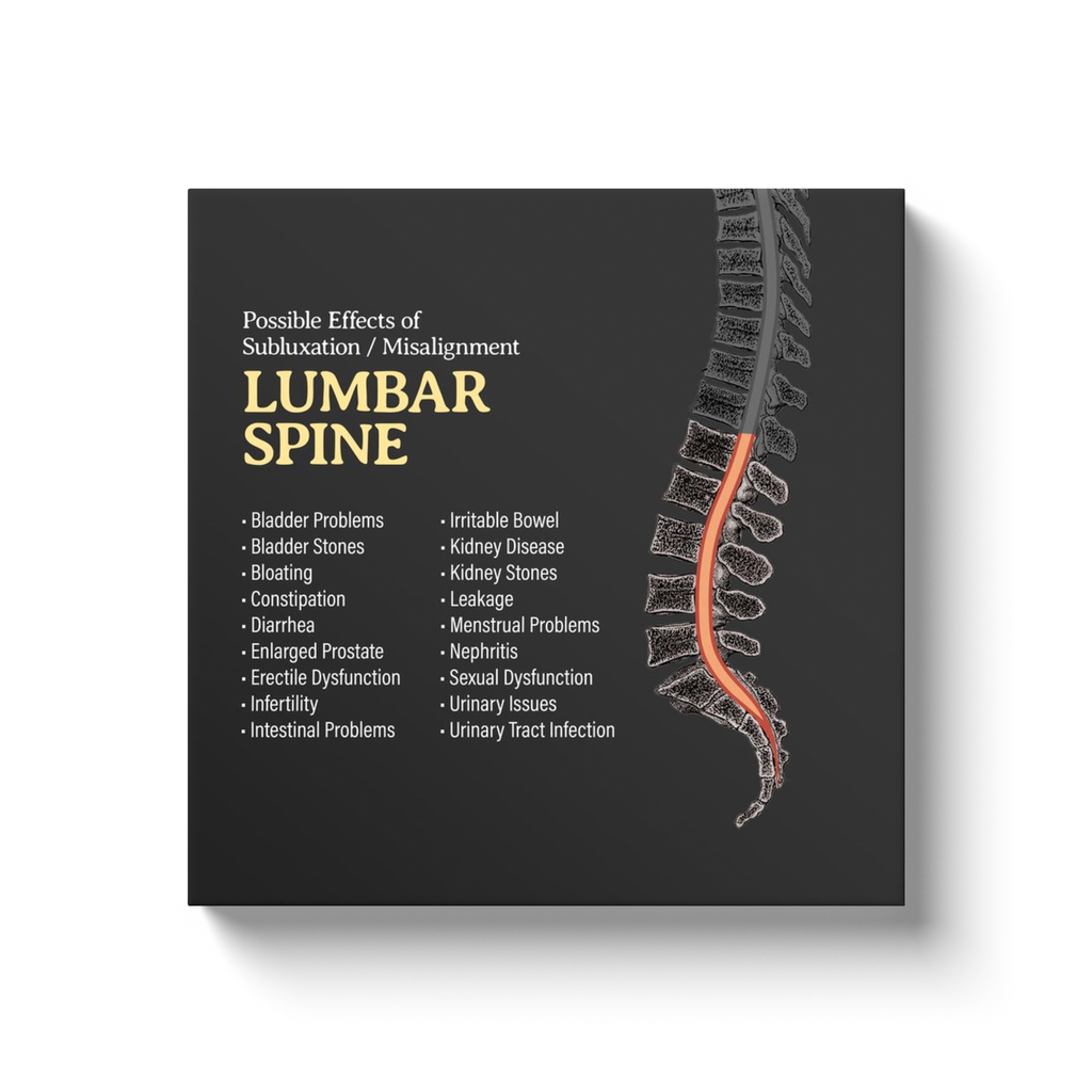 Chiropractic Poster: Lumbar Spine Symptoms Canvas Wrap