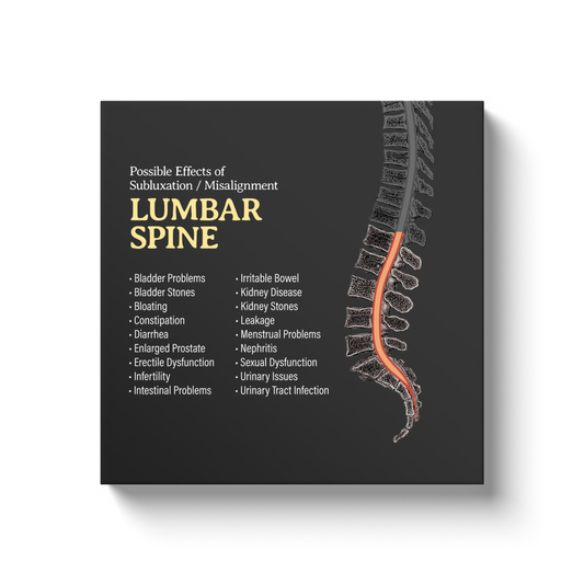 Chiropractic Poster: Lumbar Spine Symptoms Canvas Wrap