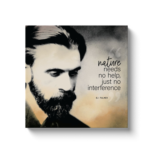 Chiropractic Poster: BJ Palmer Quote Canvas Wrap