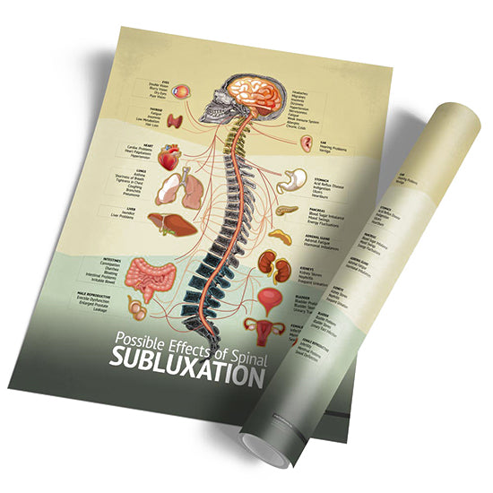Chiropractic "Subluxation" Spine, Organ, Nerve Chart