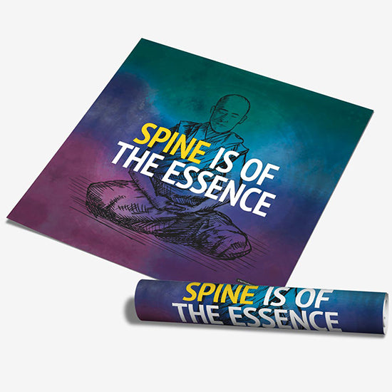Spine is of the Essence - MyChiroPractice | Chiropractic Posters
