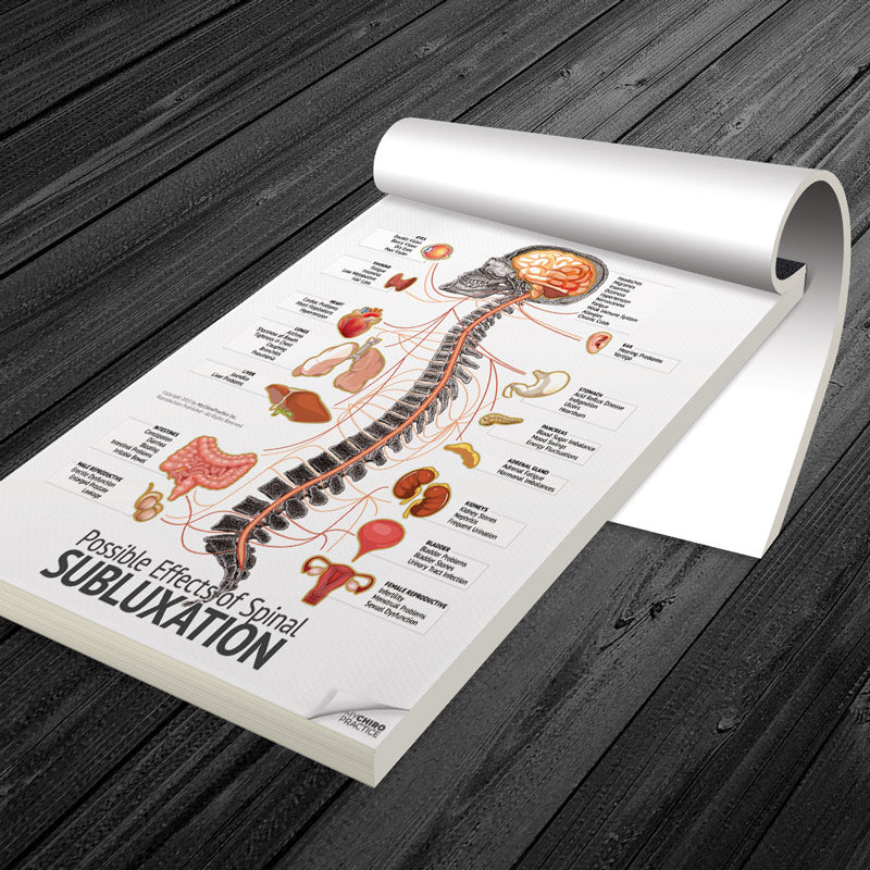 Letter Size Organ, Spine and Nerve Chart Tear-Off Pads