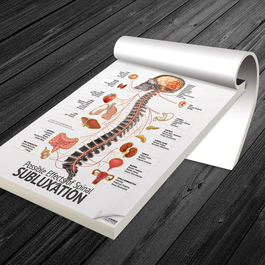 Letter Size Organ, Spine and Nerve Chart Tear-Off Pads